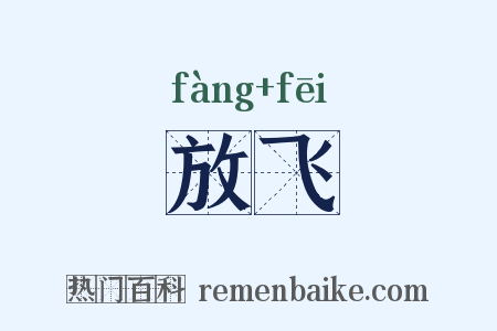 放飞是什么意思的图片